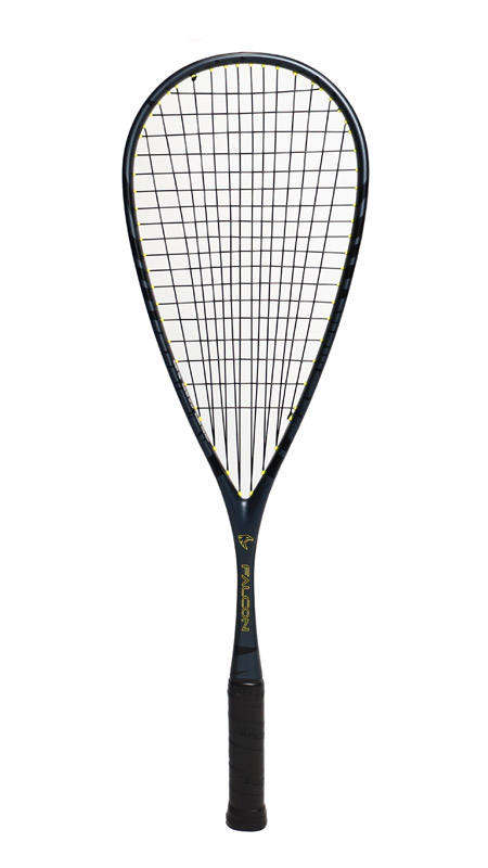 Black Knight Falcon