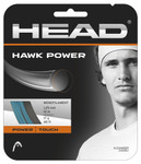 Tennis Re-String Head Hawk Power